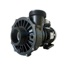 Pump - Hi-Flo - 2.0HP - 2 Speed  2 x 2