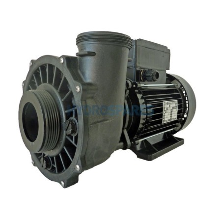 Pump - Executive 56F - 2.0HP - 2 Speed  2 x 2.5