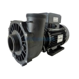 Pump - Executive 56F - 3.0HP - 1 Speed  2 x 2