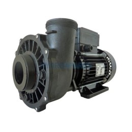 Pump - Executive 56F - 2.5HP - 2 Speed  2 x 2.5