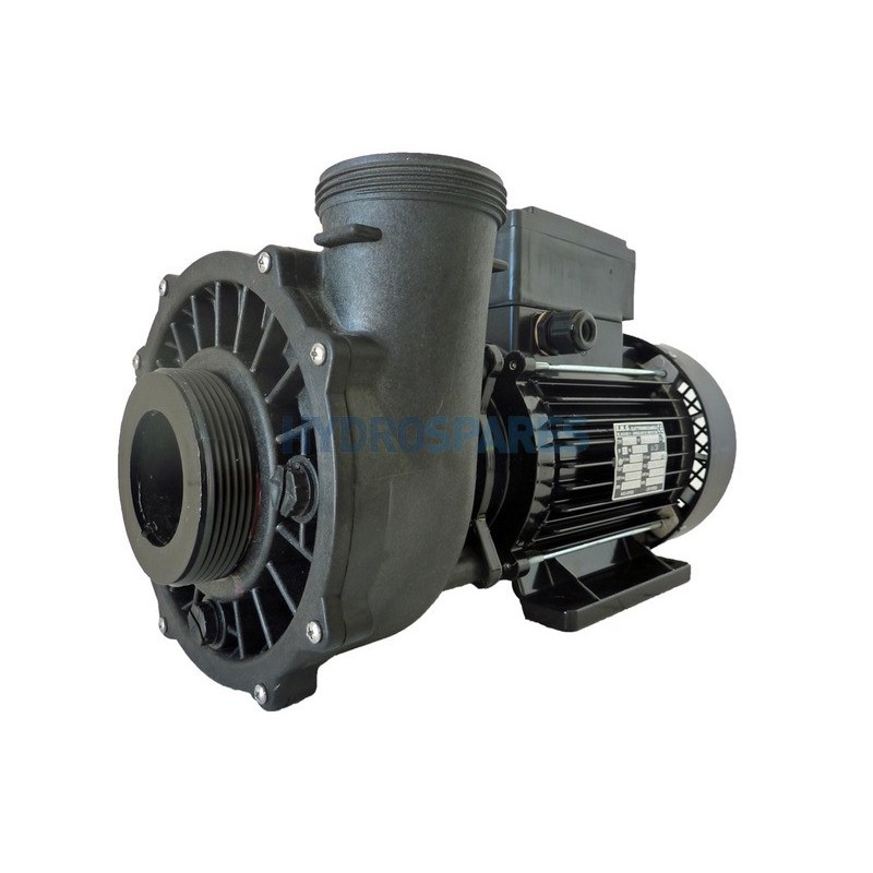 Pump - Executive 56F - 2.5HP - 2 Speed  2 x 2.5