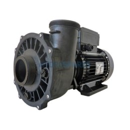 Pump - Executive 56F - 2.5HP - 2 Speed  2 x 2