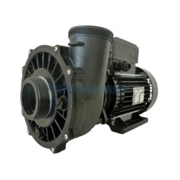 Pump - Executive 48F - 2.0Hp - 2 Speed  2 x 2