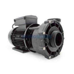 Pump - LP250 - 1 Speed - 2.5 Hp 2 x 2