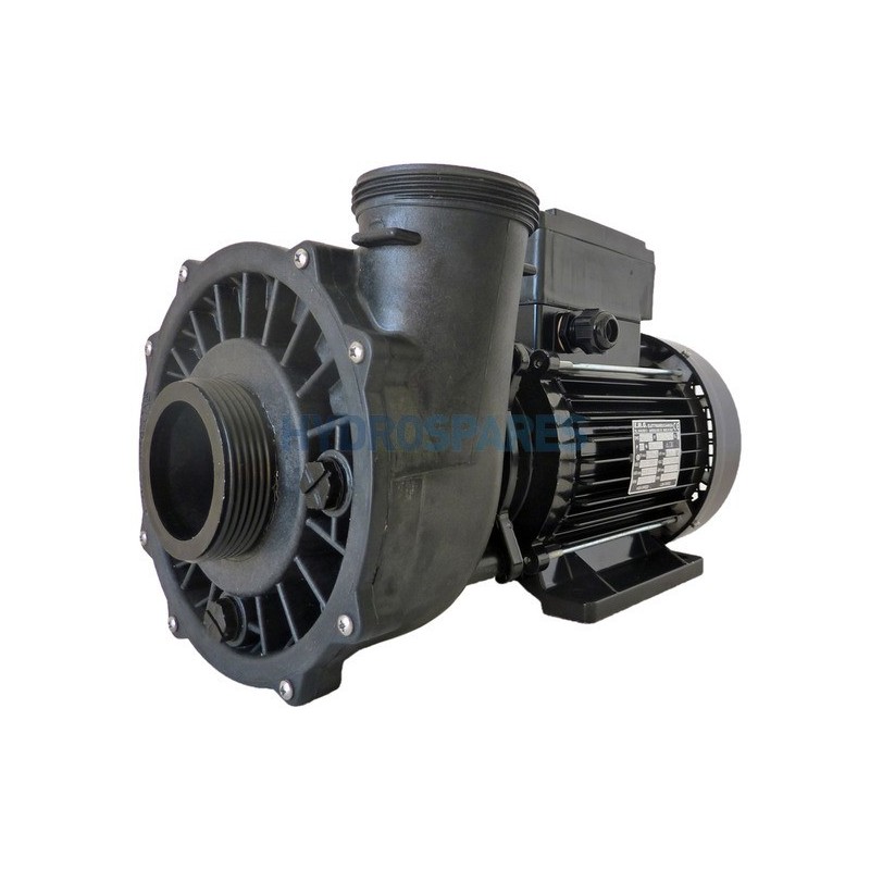 Pump - Executive 56F - 3.0HP - 2 Speed  2 x 2.5