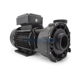 Pump - HS PRO FLOW - 2 Speed - 2.0Hp  2 x 2 56F