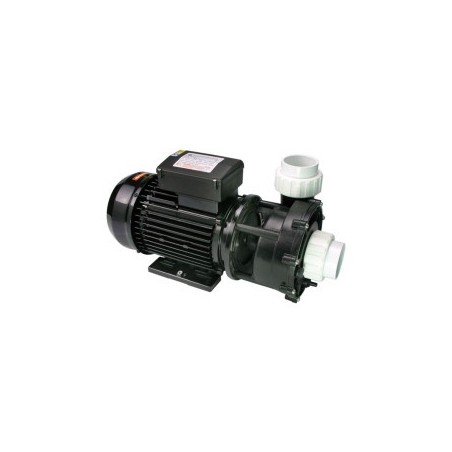 WP200-II Pump - 2.0 HP Dual Speed