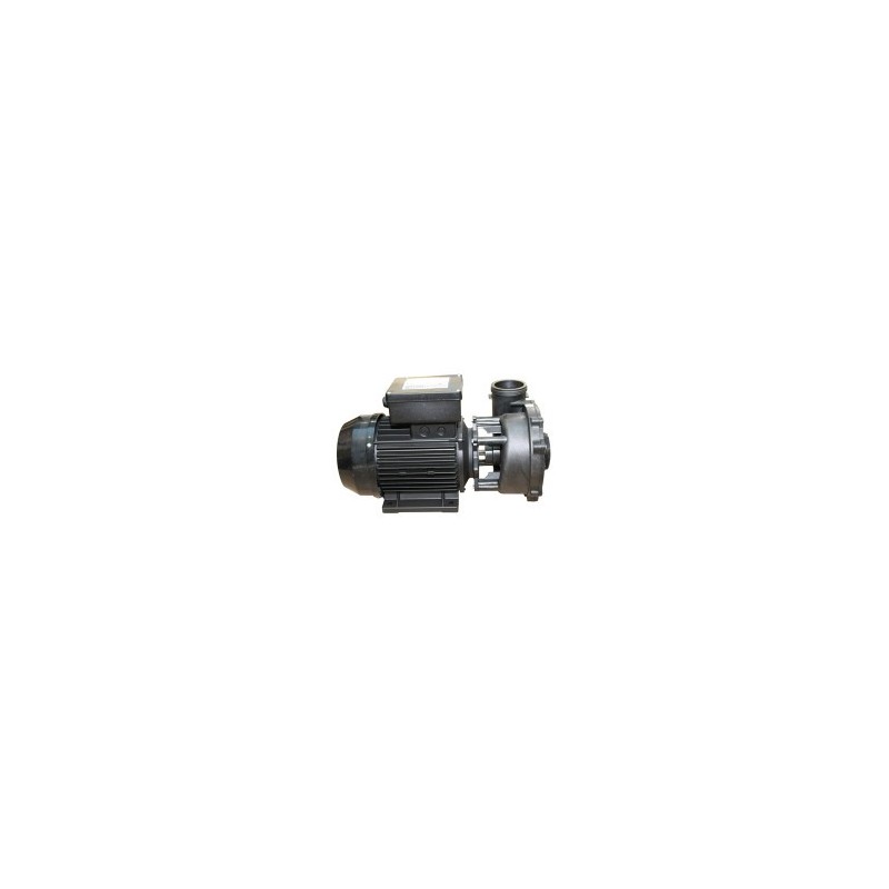 Waterway | Executive Euro Pump - 3 HP Dual Speed