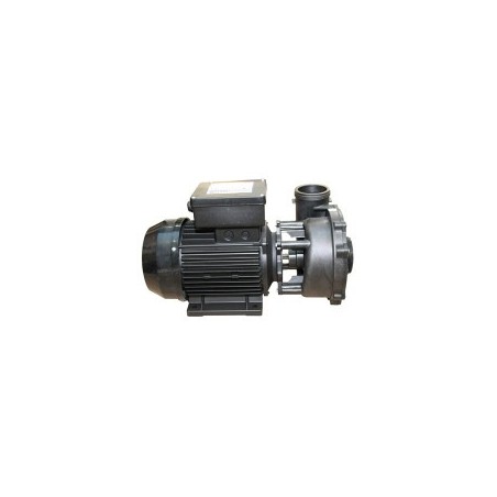 Waterway | Executive Euro Pump - 3 HP Dual Speed